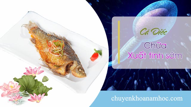 cá diếc chữa xuất tinh sớm