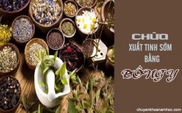 Chữa xuất tinh sớm bằng Đông y