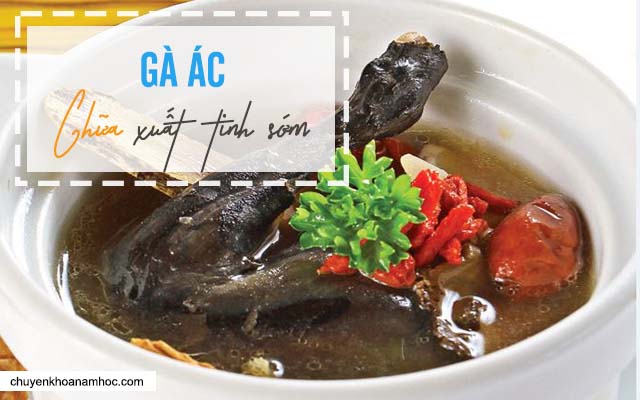 Gà ác chữa xuất tinh sớm