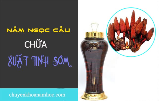 chữa xuất tinh sớm bằng rượu nấm ngọc cẩm