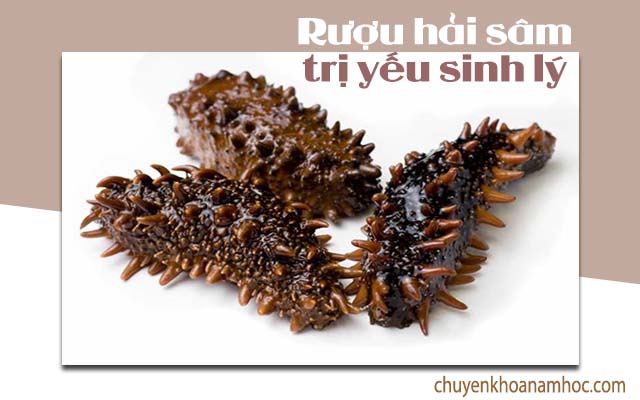 Rượu Hải Sâm chữa yếu sinh lý