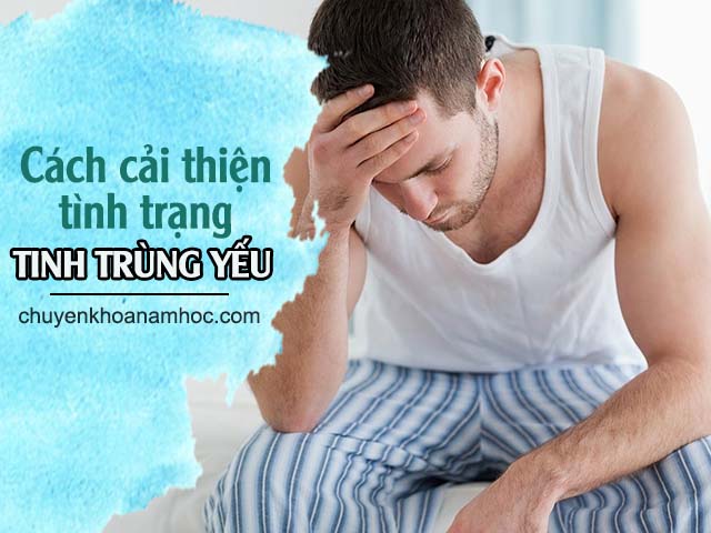 cải thiện tình trạng tinh trùng yếu