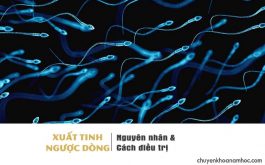 Xuất tinh ngược dòng