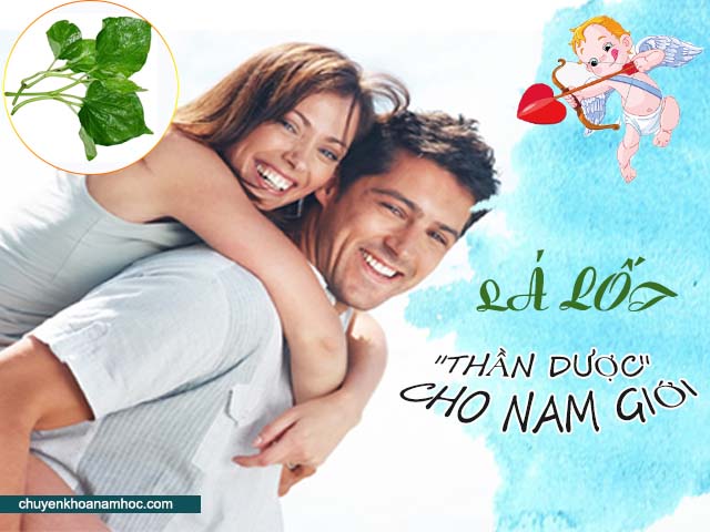 lá lốt giúp hồi phục sinh lý nam giới