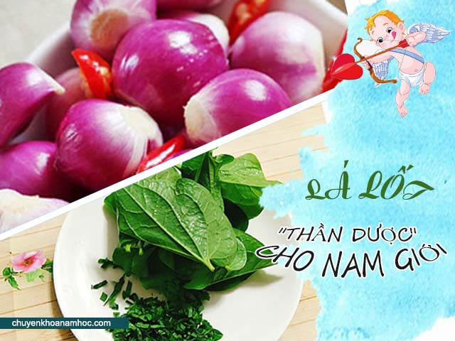 Cải thiện sinh lý nam giới từ lá lốt và củ hành.