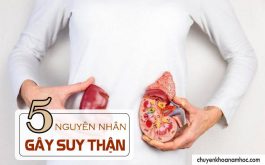 nguyên nhân gây bệnh suy thận