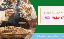 Chữa thận yếu bằng thuốc nam