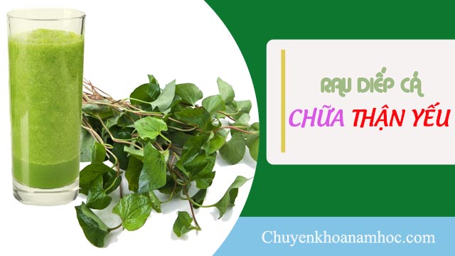 chữa thận yếu bằng rau diếp cá.