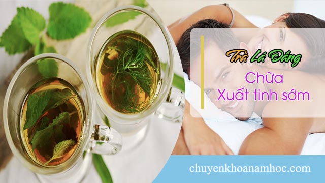 Trà lá đắng chữa xuất tinh sớm