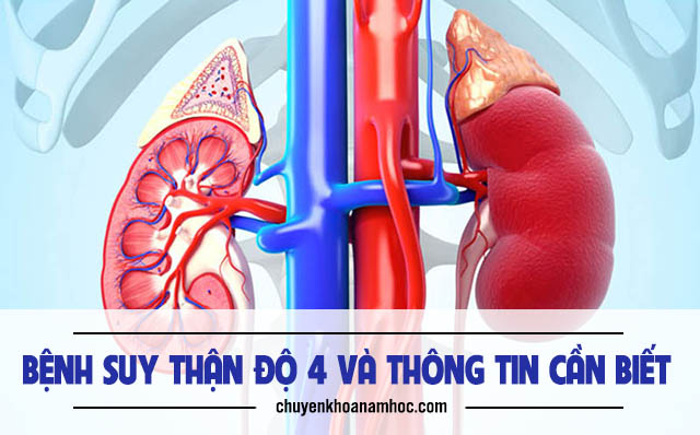 bệnh suy thận độ 4