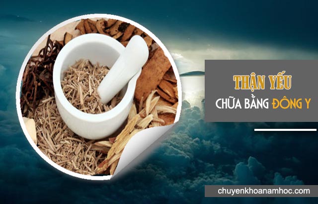 Đông y chữa thận yếu