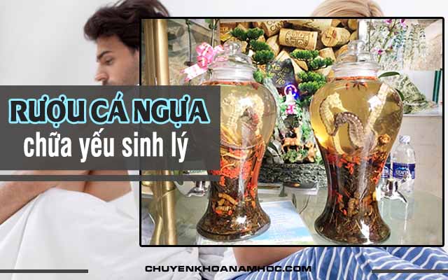 chữa yếu sinh lý bằng cá ngựa