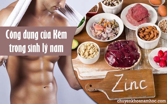 công dụng của kẽm trong sinh lý nam giới