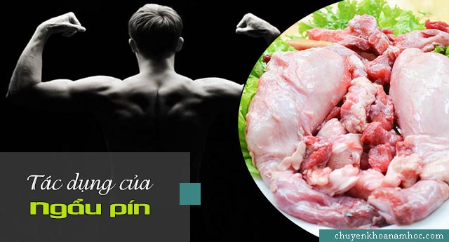 Công dụng của ngẩu pín