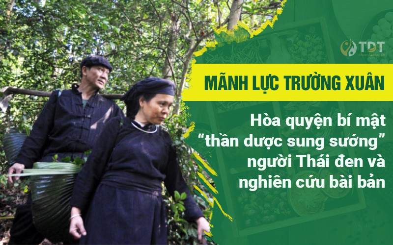 Bài thuốc và sản phẩm Mãnh lực Trường xuân kế thừa tinh hoa từ bài nhiều bài thuốc cổ phương