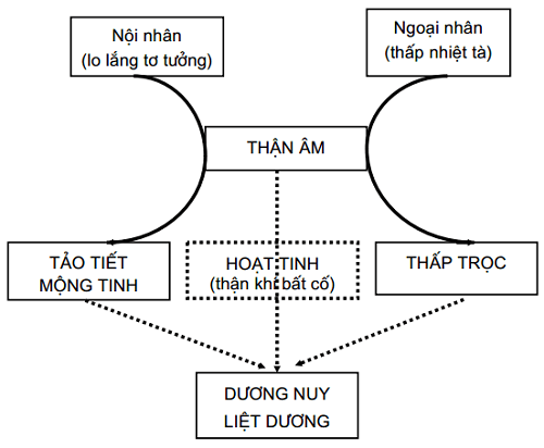 Yếu tố nội nhân có thể gây chứng tảo tiết (xuất tinh sớm) và dẫn tới liệt dương (dương nuy)