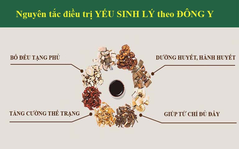 Chữa yếu sinh lý bằng y học cổ truyền mang lại hiệu quả bền lâu