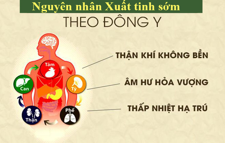 Nguyên nhân xuất tinh sớm theo Đông y