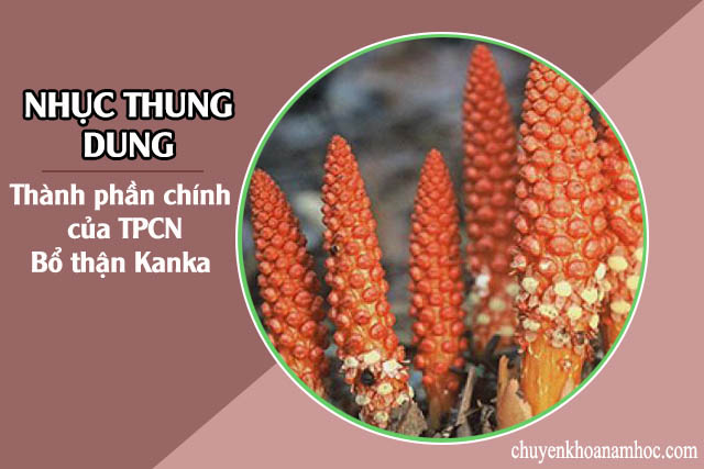 thành phần của bổ thận Kanka