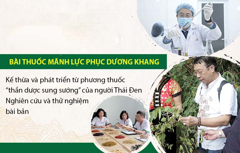 Bài thuốc Mãnh lực Phục dương khang được nghiên cứu bài bản